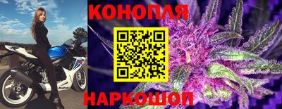 тгк Малгобек