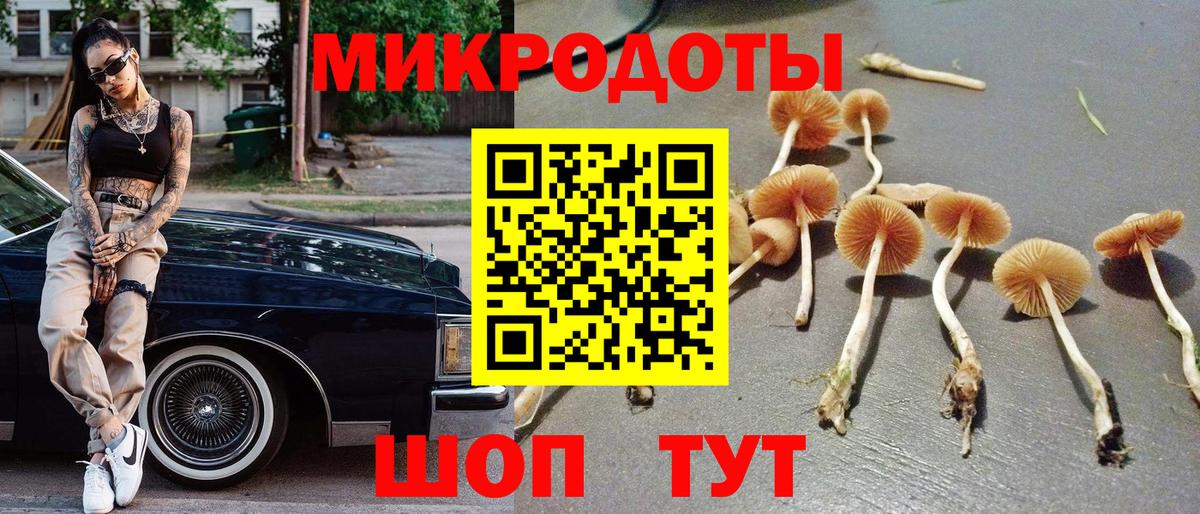 Галлюциногенные грибы MAGIC MUSHROOMS  Вход с VPN  Троицк 