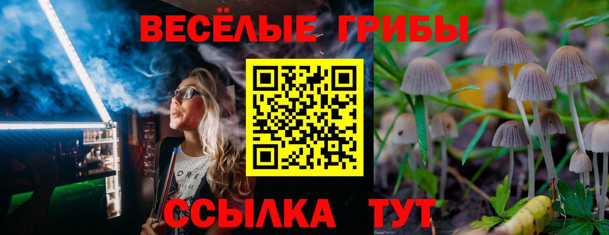 Псилоцибиновые грибы мицелий Троицк